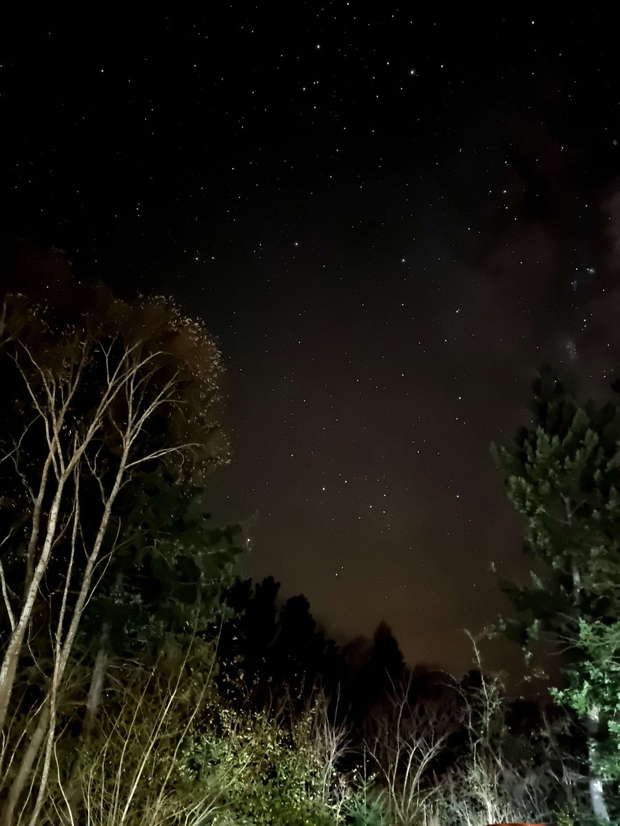 CharcoalBirb's tweet photo. More #SoPaws2023 night sky pics uwu #SoPaws https://t.co/IFzjewXhUf