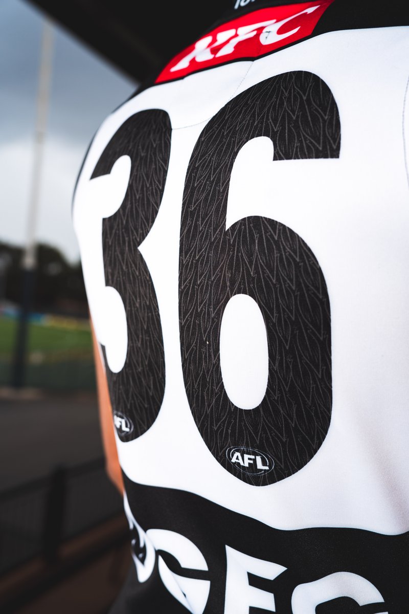 PAFC's tweet photo. Yeah this jumper is elite ❤️‍🔥😮‍💨 https://t.co/GVgBYpb88R