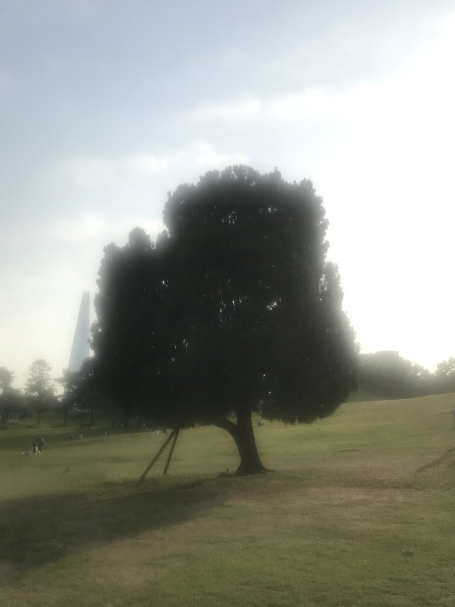 올림픽 공원 넘 쭣다 ~~ ㅜㅜ🌳