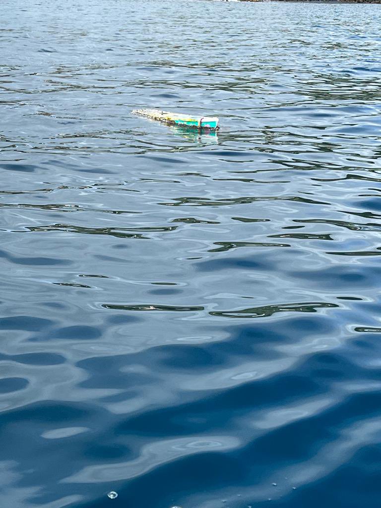 moconnorwhs's tweet photo. Thanks to Calypso Charters for rescuing Lady Lance yesterday!  Read the story @ https://t.co/jmRvWlUDuJ https://t.co/vwLLZPntF8