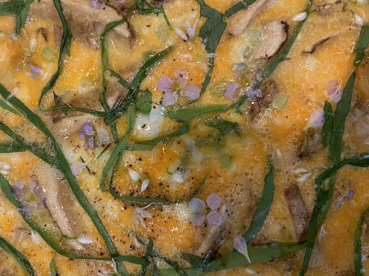 ScentedForager's tweet image. Brunch. Flowers do taste. Influencers you are welcome. #ramsons #ladyssmock ( garlic and wasabi) Eggs and Mushrooms from @OuterHebs provenance assured. St George’s Mushrooms are substantial. A delicious seasonal, bacon substitute #foodforfree