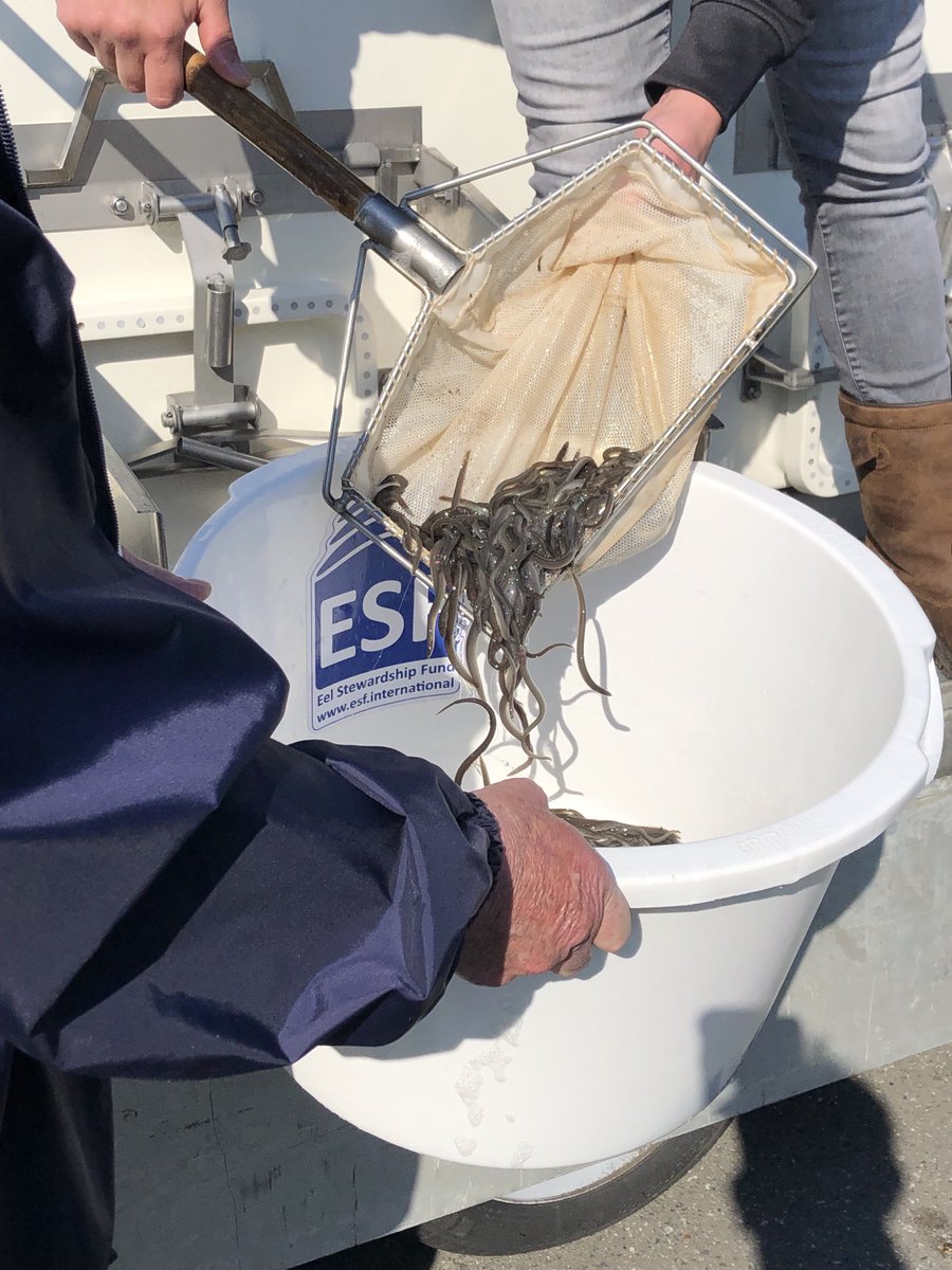 Albert Jan Maat tweet media