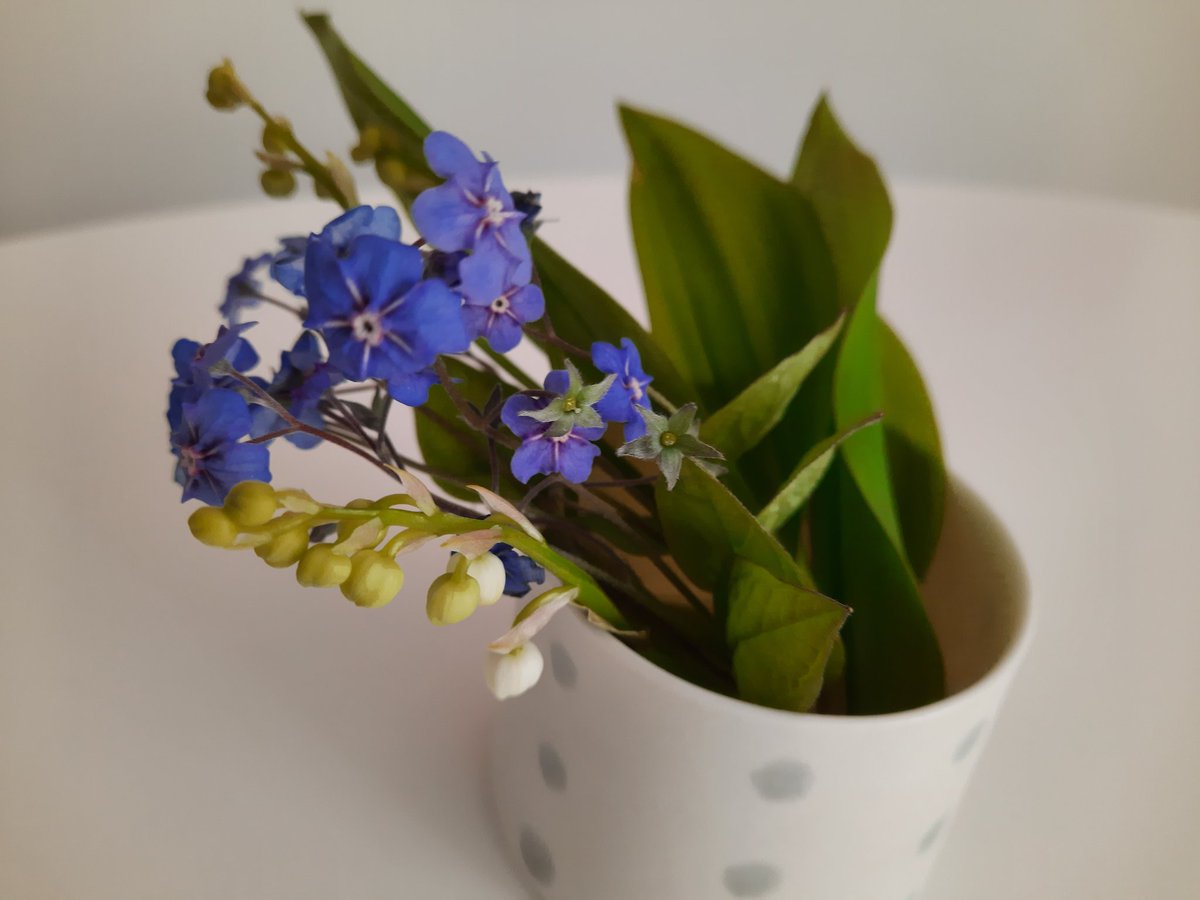 TainaMertasaari's tweet photo. Ekat kielon nuput. Niin pikkuruiset, että juuri ja juuri näkee, mitä kaikkea on edessä. #hetket #elämä https://t.co/s6eaXC5pC4