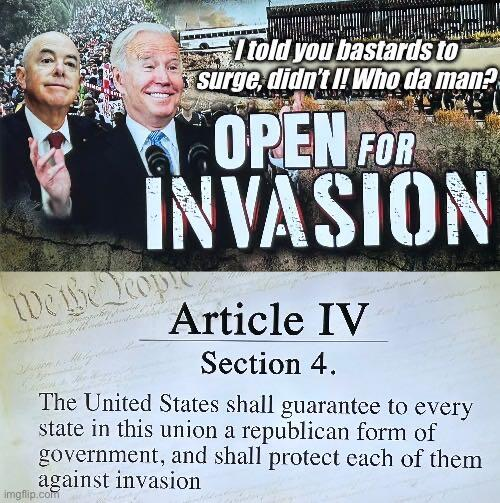 Article 4 section 4.  #article4section4 #article4section4constitution #constitution #readtheconstitution #usconstitution #america #americanconstitution #protecttheconstitution