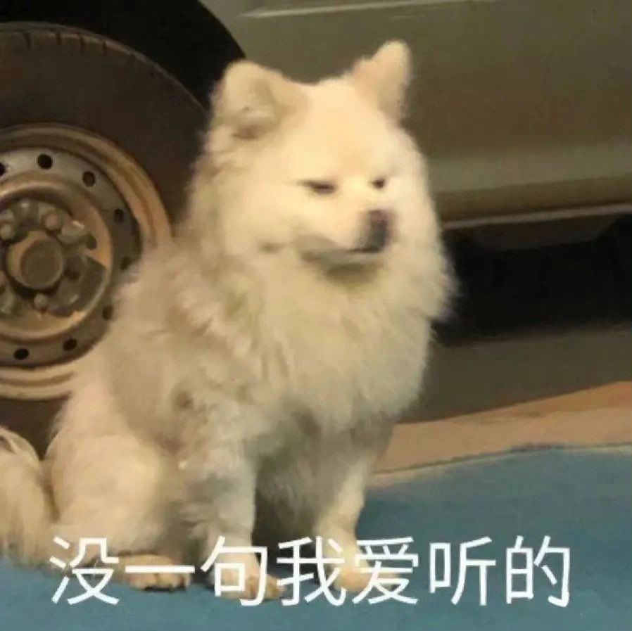 A766uu's tweet photo. #记录真实生活 今天成就：给浏览器换个皮肤，送给电脑精美新贴纸，带着水卡打满满一大瓶水，回来喝一口感觉后背滚烫把外套脱掉，空调有点冷穿上外套，再喝一口后背滚烫，再脱外套，现在又有点小冷在怀疑人生
总结：又是满满收获的一天呢😂 https://t.co/BsnU0Mjy8W
