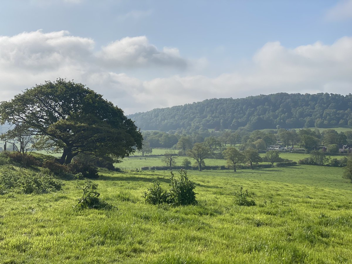 Nice little trek this morning!