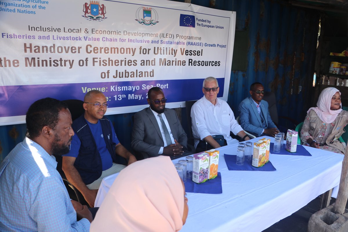 FAO in Somalia (@faosomalia) on Twitter photo Happening Now: <a href="/FAO/">Food and Agriculture Organization</a> and @Mofmrjl inaugurate renovated Fisheries Ministry offices in Kismayu
The renovation, funded by <a href="/EU_in_Somalia/">EU Delegation Somalia</a> through the RAAISE/ILED project, will support improved management and technical capacity of @Mofmrjl to support the fisheries sector in Jubaland🎣 Happening Now: <a href="/FAO/">Food and Agriculture Organization</a> and @Mofmrjl inaugurate renovated Fisheries Ministry offices in Kismayu
The renovation, funded by <a href="/EU_in_Somalia/">EU Delegation Somalia</a> through the RAAISE/ILED project, will support improved management and technical capacity of @Mofmrjl to support the fisheries sector in Jubaland🎣