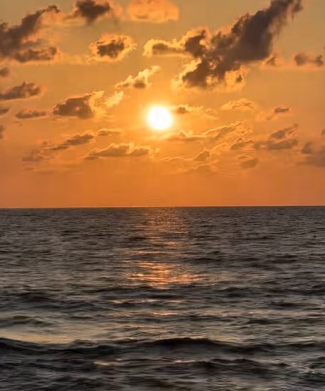 DrJackKruse's tweet image. 5 of the most important lessons you&apos;ll learn from me. 

1. The power of a morning routine: How you start your day sets the tone for everything that follows. Never miss the sunrise again. By creating a morning routine that includes meditation, visualization, exercise, reading, and…