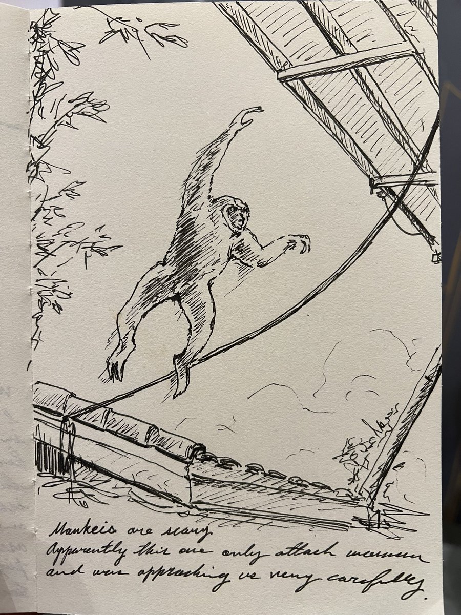 Sketch diary:  1. Temple by the sea 2. Vegan pizza experience 3. Monkey that only attacks woman