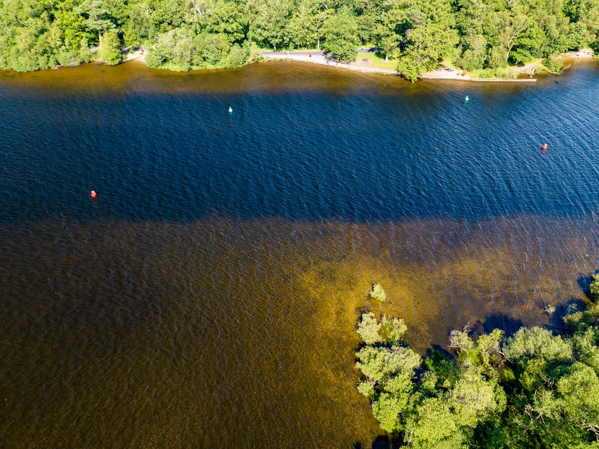 If you’re soaking up this weekend’s sunshine around the waters of the National Park, stay safe, &amp; remember, the water in our lochs can change depth suddenly &amp; unexpectedly.

lochlomond-trossachs.org/plan-your-visi…

📸 Balloch Park, with 2nd image showing how deep the water can get close to shore