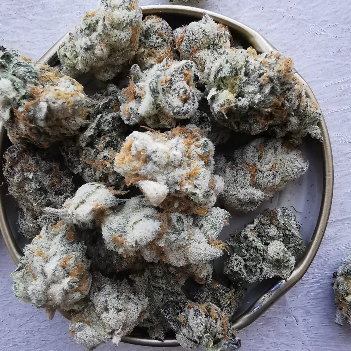 LetsZol's tweet photo. Frosted Apricot Indoor,R150 per gram. https://t.co/JSwSyoBga0