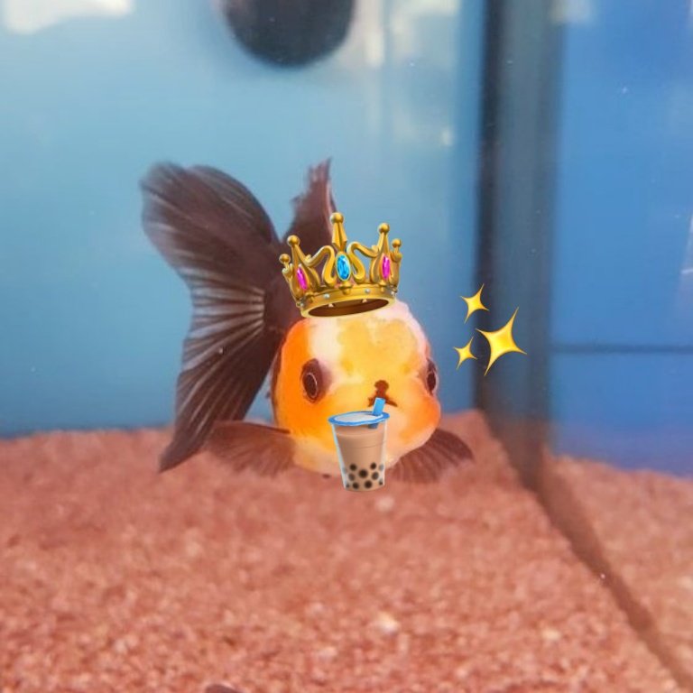 Udah gak salah hari lagii, met satnight cemuaa! 
Jolii maw malmingan duluu 🫧🐠