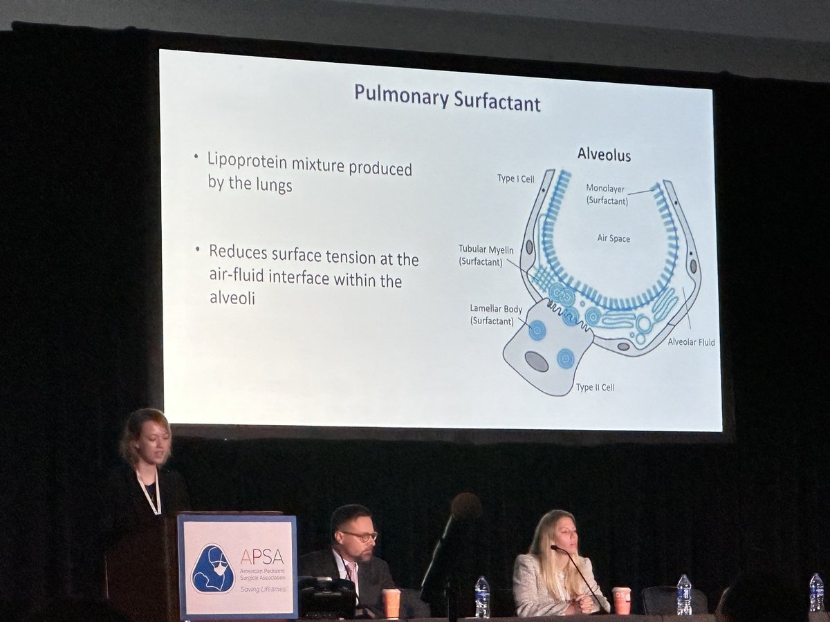 AntiWheatGirl's tweet photo. Team @BCHPedSurg still going strong on the last day of #APSA23! Awesome presentation from @moskowitzova!! https://t.co/9GapvTgkNt