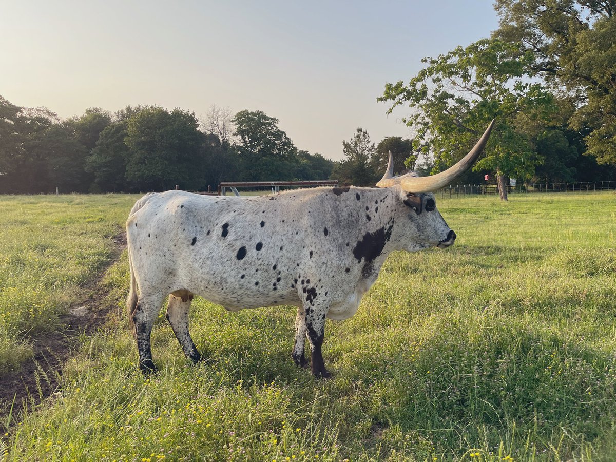 I can’t believe Storm is 8 already