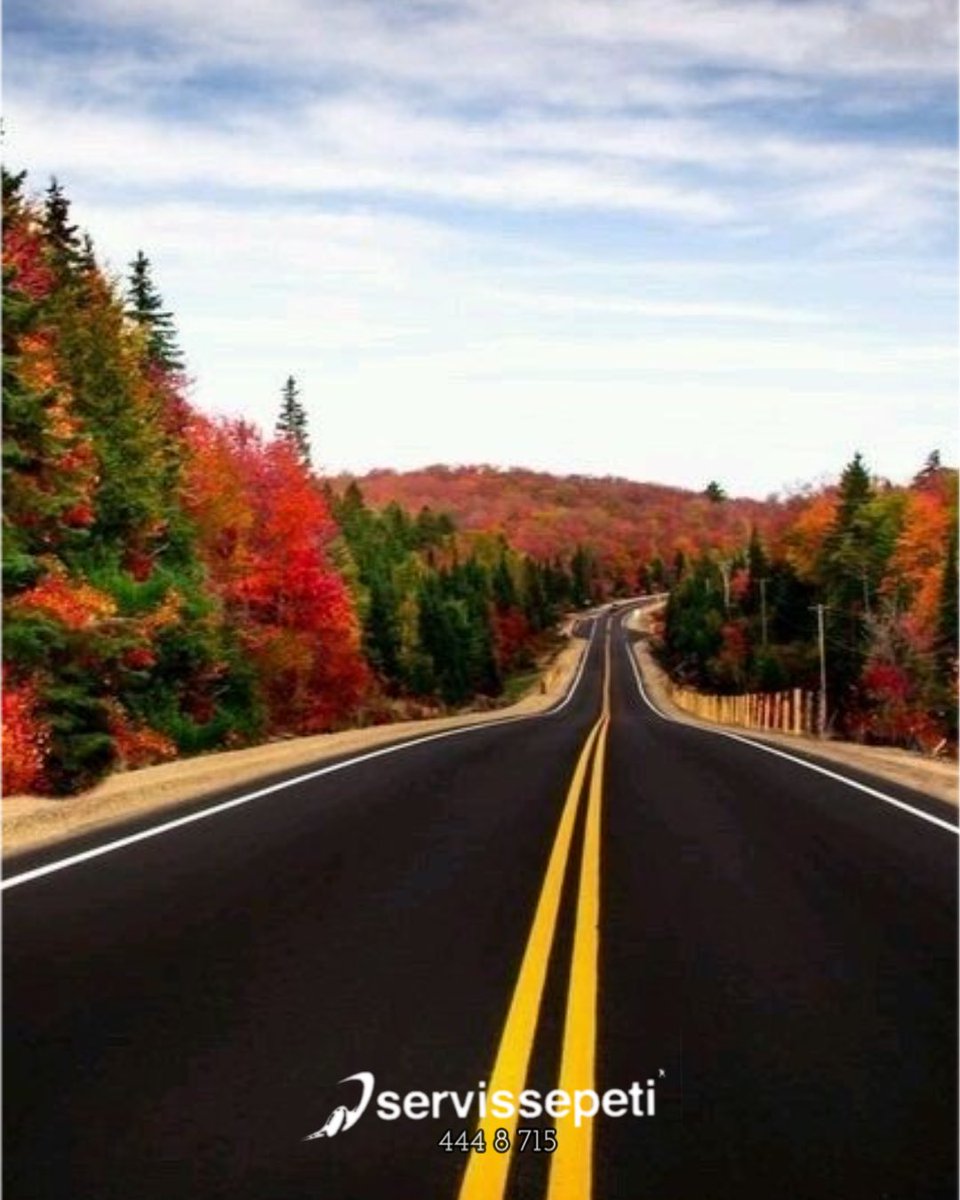 🚍🫶🏻 
Bireysel ve kurumsal, servis ve tur talepleriniz için buradayız web sitemizden, uygulamamızdan fiyat teklifi alın. Kolayca aracınızı kiralayın. 
servissepeti.com 
444 8 715
#seyahat #travel #travelphotography #gezgin #nature #tatil #holiday #travelgram #yol #yollar