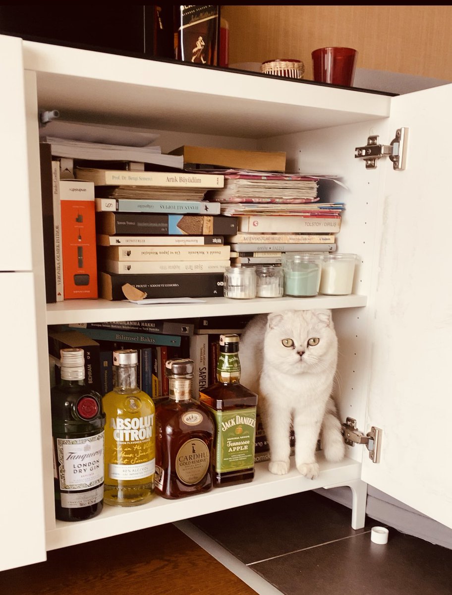 Her şey güzel oldu bile :))