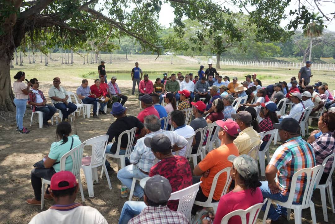 PSUV tweet media