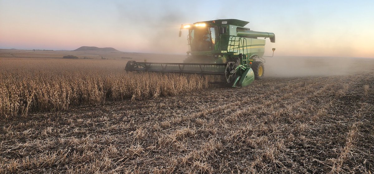 NkosanaMtambo's tweet photo. Harvesting Season Underway in Free State
#FarmBoy 
@JohnDeere 
@AFGRI 
@ToyotaSA 
@DALRRDgov_ZA https://t.co/xtH8tXehHO