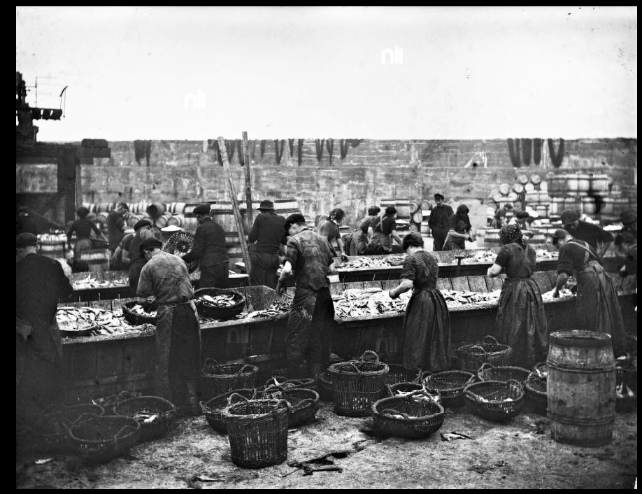 PMonty18's tweet photo. Pictures of the fish curing, at #Ardglass, Co.Down #NorthernIreland #UK made 1865-1914. The port of Ardglass first developed, as a fishery harbour in the Middle Ages also became a principal herring port during the British Isles 19th century. #FishArchitecture https://t.co/uraXzVTIGf