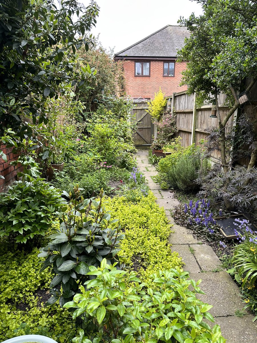 Adam Smith tweet media