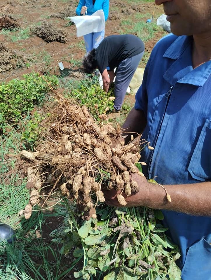 Alexander Miranda Caballero tweet media