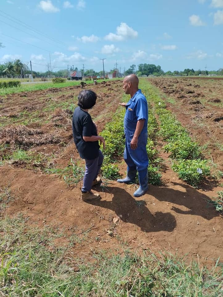 Alexander Miranda Caballero tweet media