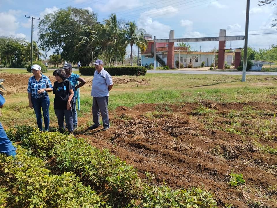 Alexander Miranda Caballero tweet media