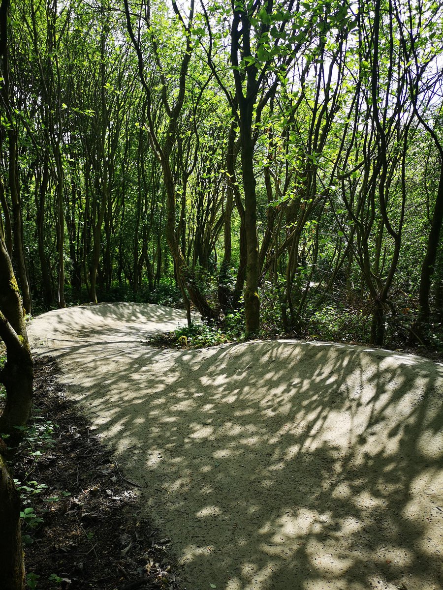 Trail Advantage - MTB Coaching and Guiding tweet media