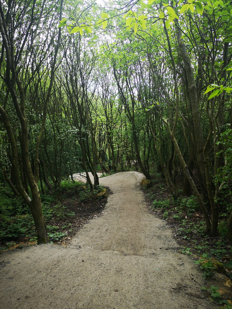 Trail Advantage - MTB Coaching and Guiding tweet media