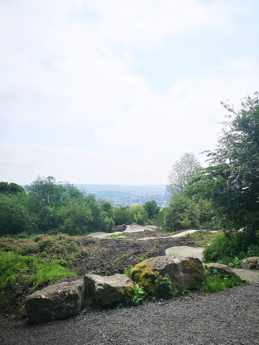 Trail Advantage - MTB Coaching and Guiding tweet media