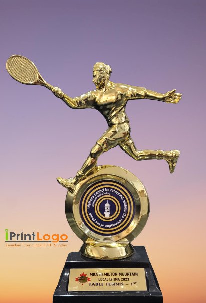 iprintlogo's tweet image. Contact us for all your awards needs. info@iprintlogo.com