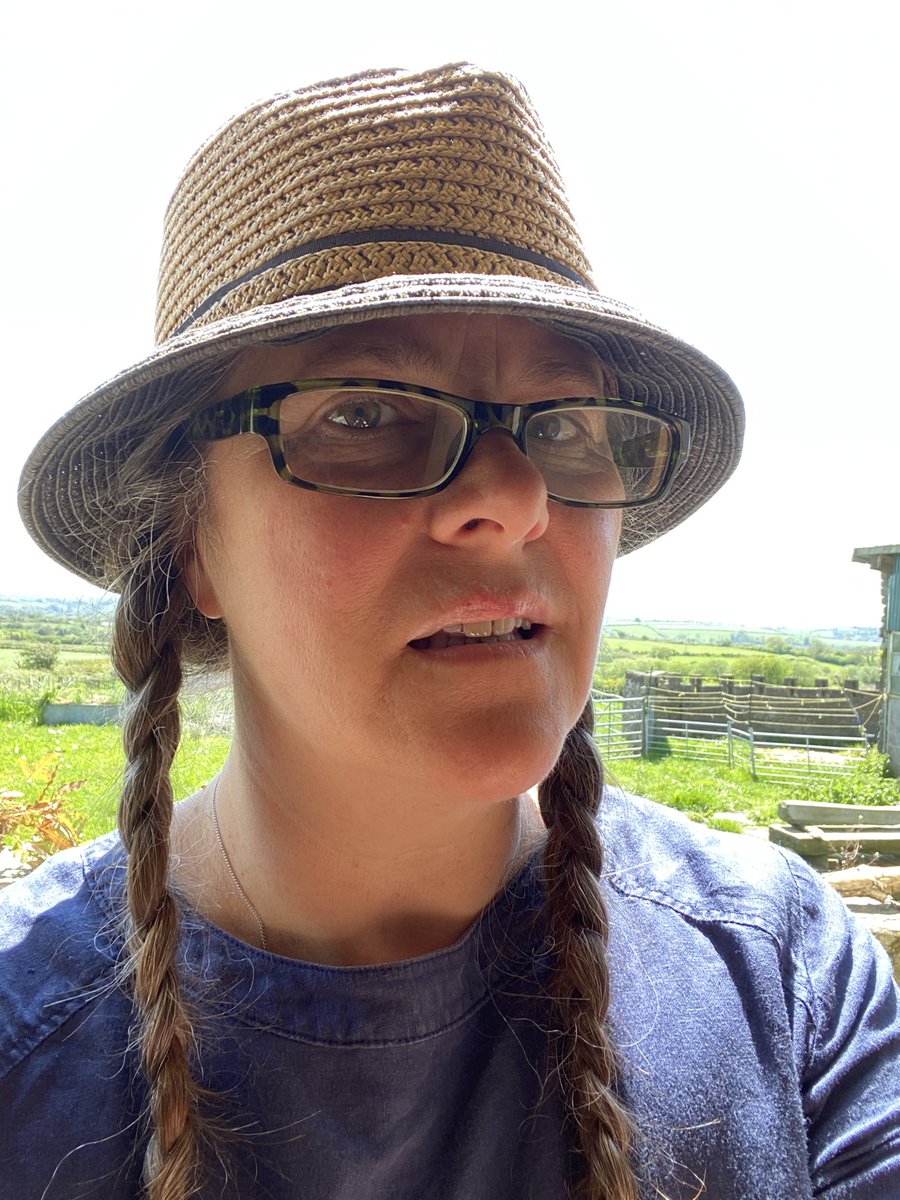 Smallholder beauty tip….. full, pouty lips??? Just get a broody hen to kick you in the face