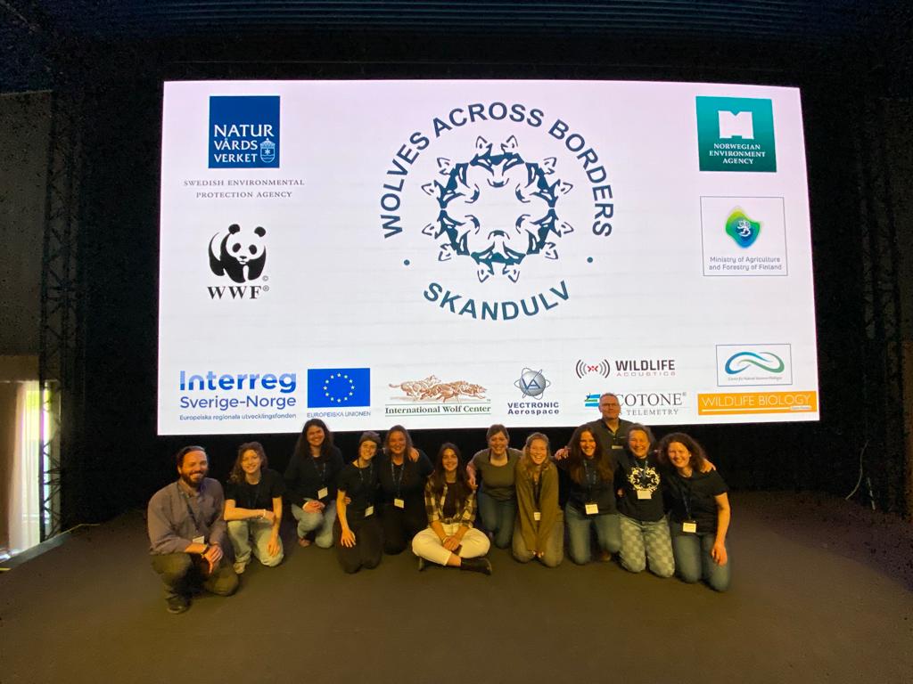 WolvesBorders's tweet photo. 🎉What an exceptional Wolves Across Borders conference !🐺 

We want to thank all participants and speakers for sharing their amazing stories and research🤩

THANK YOU to everyone involved for making this a unique across borders experience! 🌎

🚨: When the next #WolvesBorders? https://t.co/ocTW5tpeRp