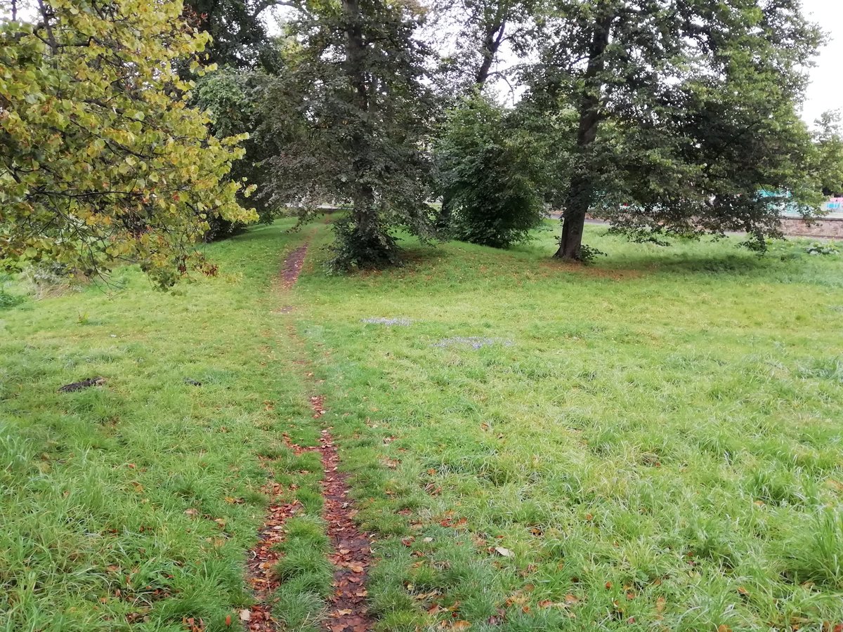 friendsinchpark's tweet photo. Next steering group meeting will be Thu 18 May 7pm at Inch House. All welcome as we turn our minds towards constituting a formal Friends of the Inch Park group #InchHouse #InchParkEdinburgh @gilmertoninchcc @LibertonDCC @GPCC_Edinburgh @BridgendFarmhse @InchNursery @InchAssoc https://t.co/GjjVxLm6Mz