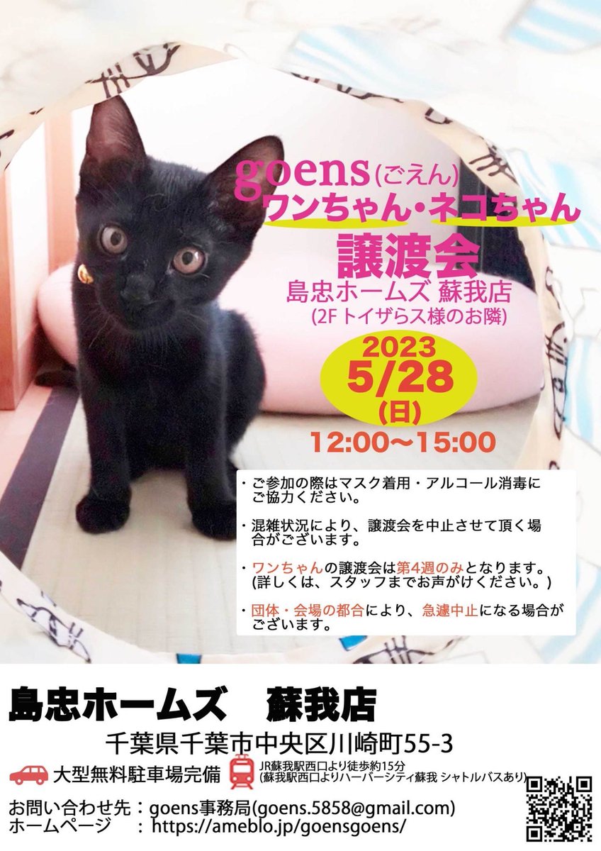 goens69732829's tweet photo. 📣5月の譲渡会のお知らせ📣

14.20.28日に開催‼️

28日はわんちゃんも参加します🦮

明日の「14日」は、島忠蘇我店さんにて開催です。

12時〜15時

マスクの着用を宜しくお願いいたします。

皆様のご来場お待ちしております‼️‼️

#保護猫　#保護犬　#譲渡会　#千葉県 https://t.co/Zh2s5gekHG