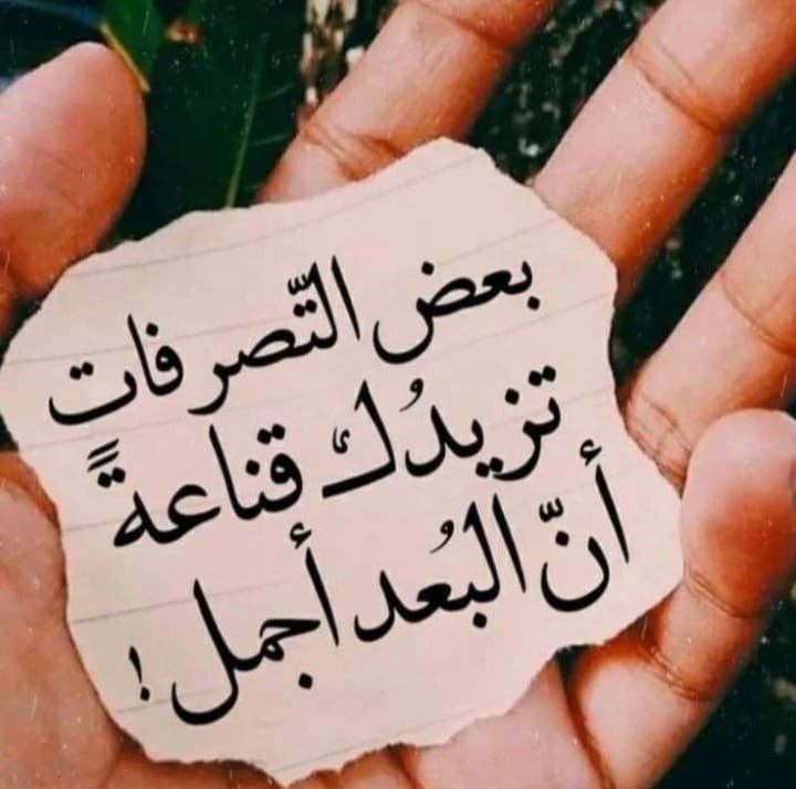 Zaina usa.con🇰🇼 tweet media