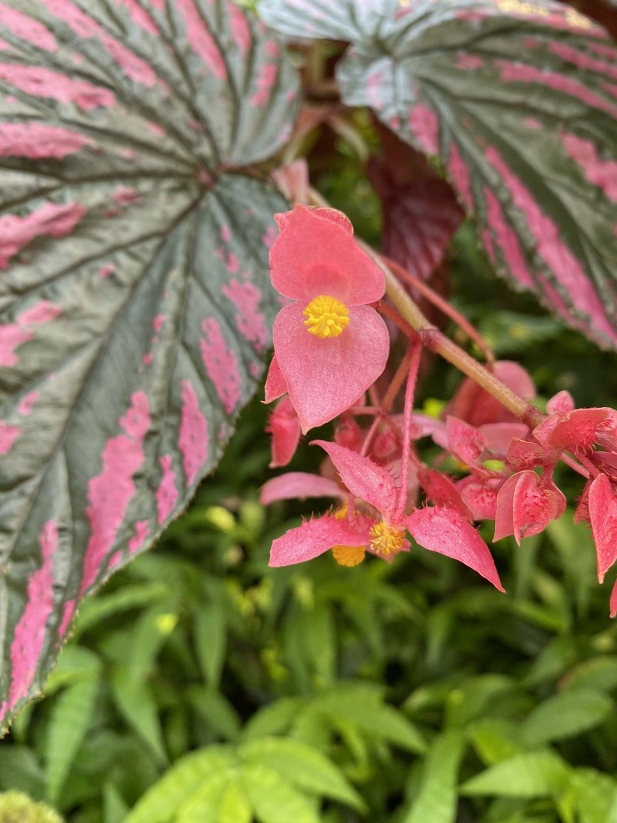 @WarminsterESS tweet media