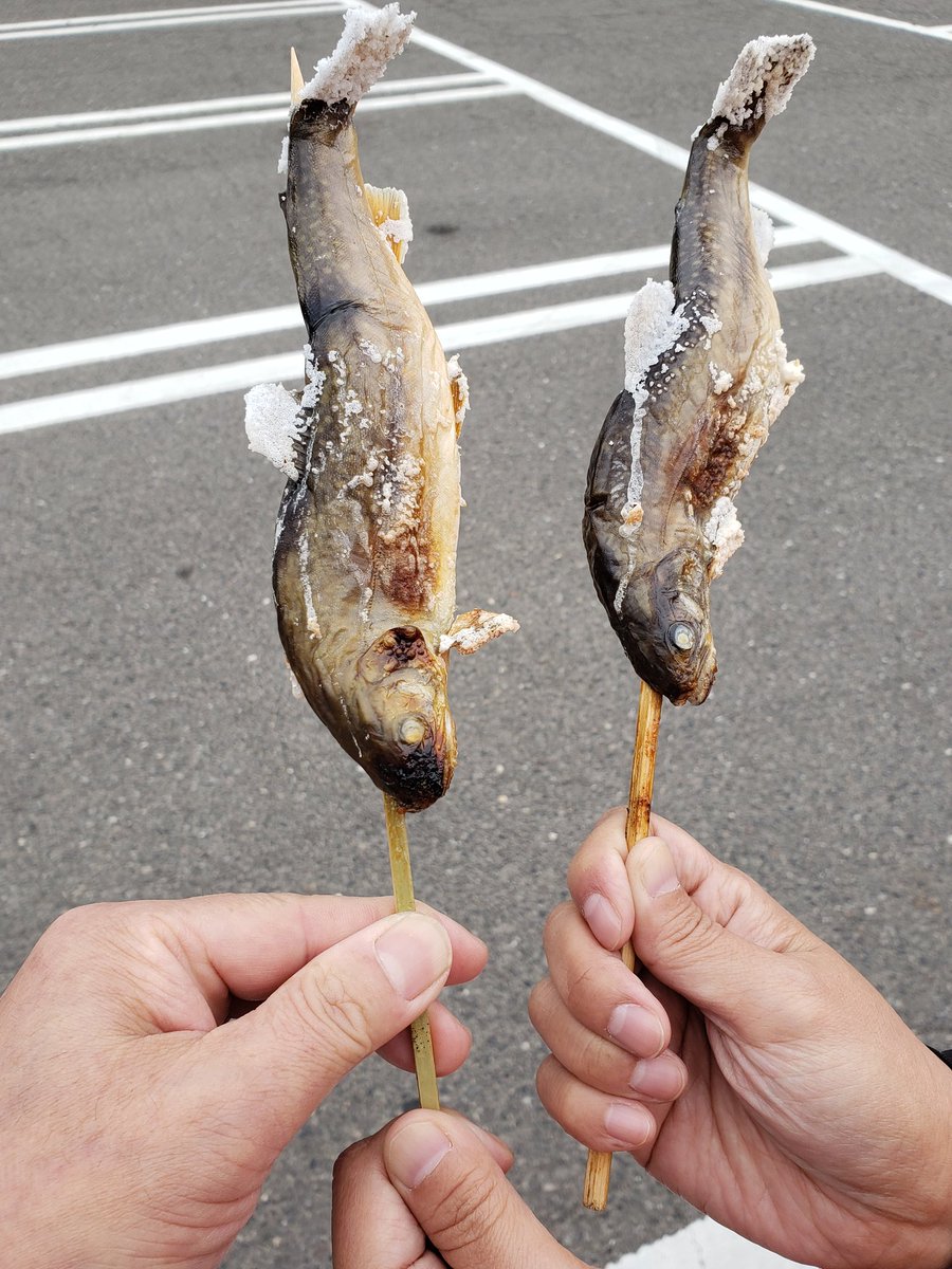 道の駅羽鳥湖高原イワナ塩焼きお出かけ土曜日土曜日ある物を探しにここに来た、残念ながらなかったけどイワナ塩焼きを発見 熱々をカブリ〜たまらん♥️炭の香りとイワナの香りが相まって旨い😋 ここまで来たかいがあった 喉に小骨が刺さり焦ったのは内緒の土曜日。