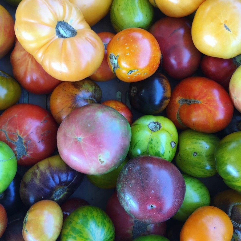 Columbia Farmers Market tweet media