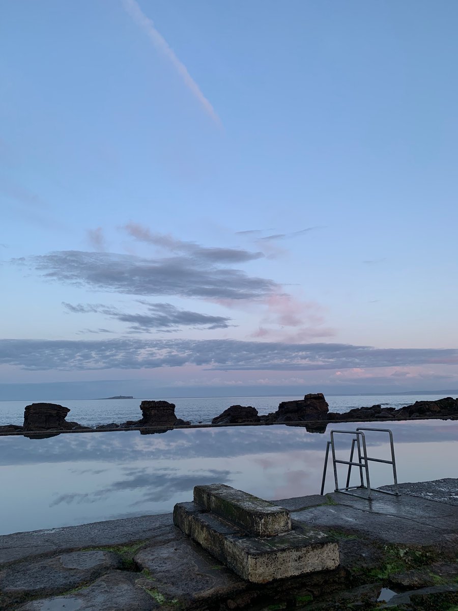 Katrina Dodd tweet media