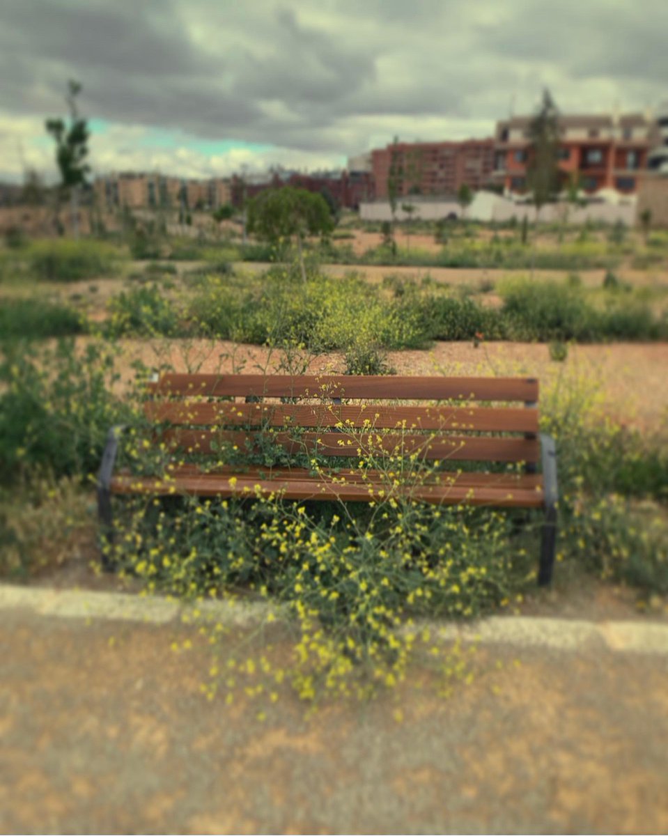 Rafael Esteban S tweet media