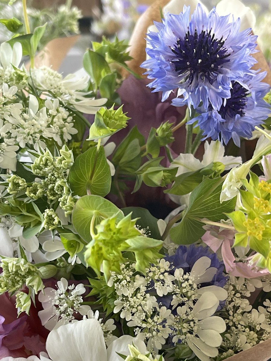 Heirloom Leaves and Seeds (@HeirloomLeaves) / Posts / X