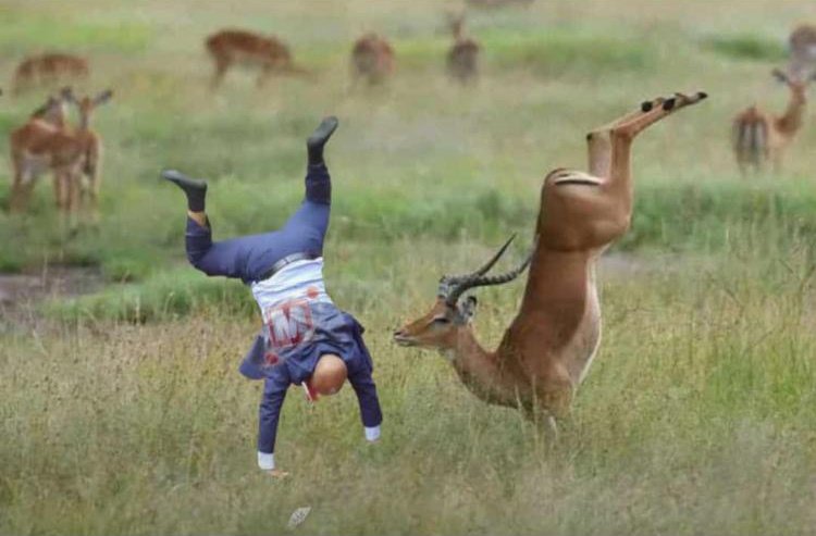 DullahTheking2's tweet image. Joined 2023 tuwasimulie ama iwe Offline work
😂