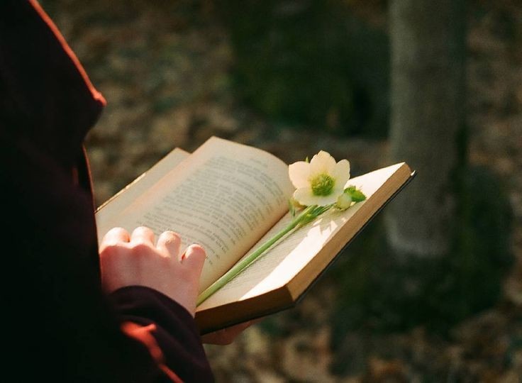 #الحياة كتابة في دفتر الأيام ؛
  ليس المهم أن كان خطك رائعاََ ؛
  المهم أن تترك في دفتر الأيام مايستحق القراءة 📝.

🌹#لــمــسااائڪم ڪلّ الــخــيـــر والسعادة 🌹