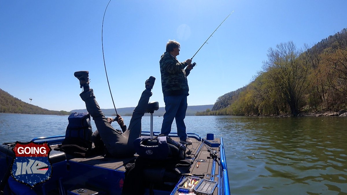 MAYHEM!!! On Today’s Going Ike it is part 3 of Susquehanna smallmouth fishing with Uncle DON!!!

mikeiaconelli.com/bass_fishing_v…

@vmchooks @BerkleyFishing @Abu_Garcia @TackleWarehouse @AftcoFishing 

#Ike #Ikeapproved #Nevergiveup #GoingIke