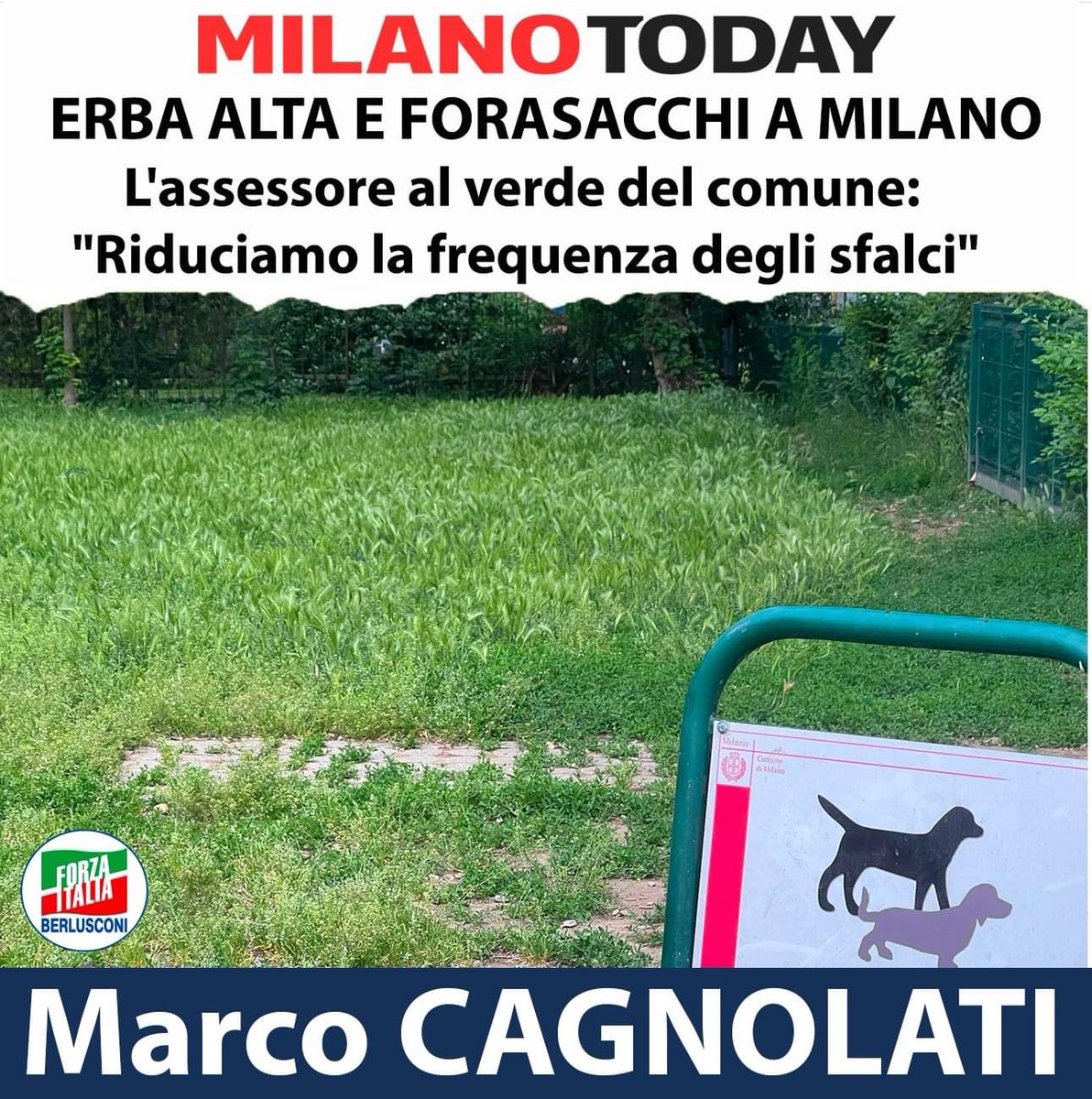 🛑 EMERGENZA FORASACCHI E TAGLIO ERBA A MILANO 🛑 

Risposte ASSURDE dal #comune !!!

#cagnolati #marcocagnolati #comunedimilano #municipi #Municipio #degrado #verde #forasacchi #taglioerba #sfalci #sfalcioerba #sindacosala #amsa #pulizia #Municipio3 #Zona3 #milano #BeppeSala