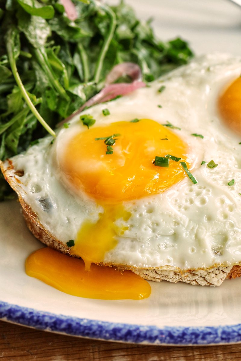 LandandLakeChi's tweet photo. Brunch is the best and that's no yolk!  🤤 Enjoy some avocado toast with sunny side eggs and mimosas! Cheers to the weekend! 🥂🍊🍳🥑

📸 @madnagency 

#landandlakechi #chicagoloop #backintheloop #brunchtime #chicagofood #brunchgoals #eggs #omlette #mimosabrunch https://t.co/zuilunOkjW