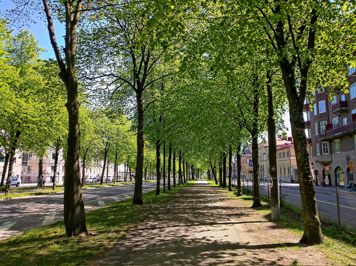 Anthony Hunter (@anthonyhunter69) on Twitter photo Awesome day for a walk 🙂
@Nokia @NokiaMobile <a href="/Sweden/">Sweden</a> @HMDGlobal <a href="/TheLightCo/">Light</a> <a href="/teampureview/">TeamPureView</a> <a href="/NokiamobBlog/">NokiaMob</a> #nokia #nokia9 #photography #phoneography #5lenses #fivelenses #capturedbylight #shotonnokia #nokiamobile <a href="/goteborgcom/">Göteborg/Gothenburg</a> @YesSweden #göteborg Awesome day for a walk 🙂
@Nokia @NokiaMobile <a href="/Sweden/">Sweden</a> @HMDGlobal <a href="/TheLightCo/">Light</a> <a href="/teampureview/">TeamPureView</a> <a href="/NokiamobBlog/">NokiaMob</a> #nokia #nokia9 #photography #phoneography #5lenses #fivelenses #capturedbylight #shotonnokia #nokiamobile <a href="/goteborgcom/">Göteborg/Gothenburg</a> @YesSweden #göteborg