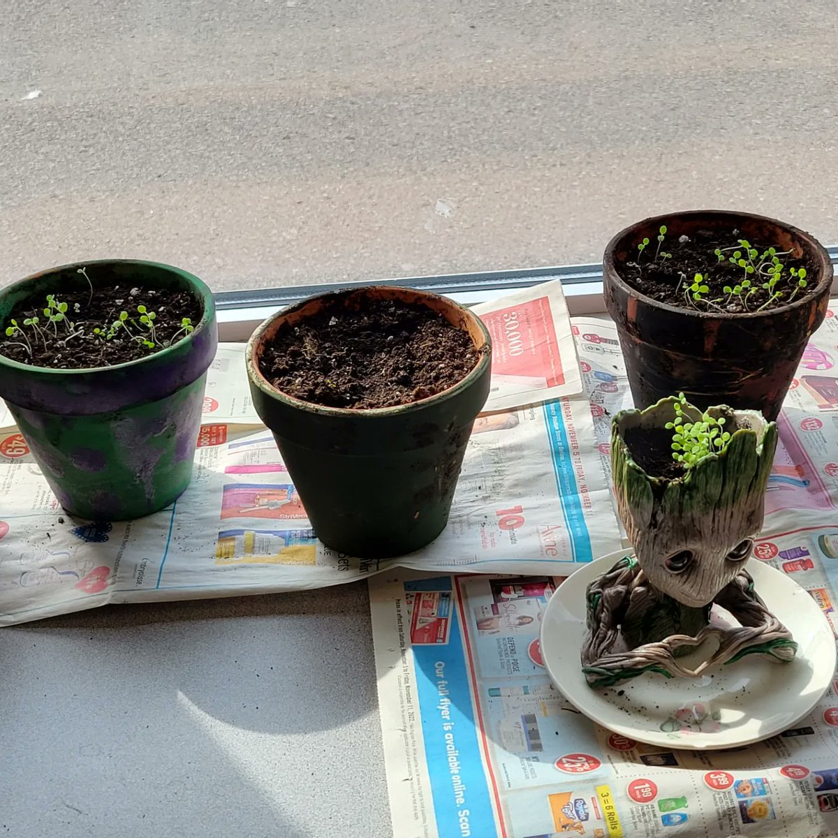 Ingrid Mitchell tweet media