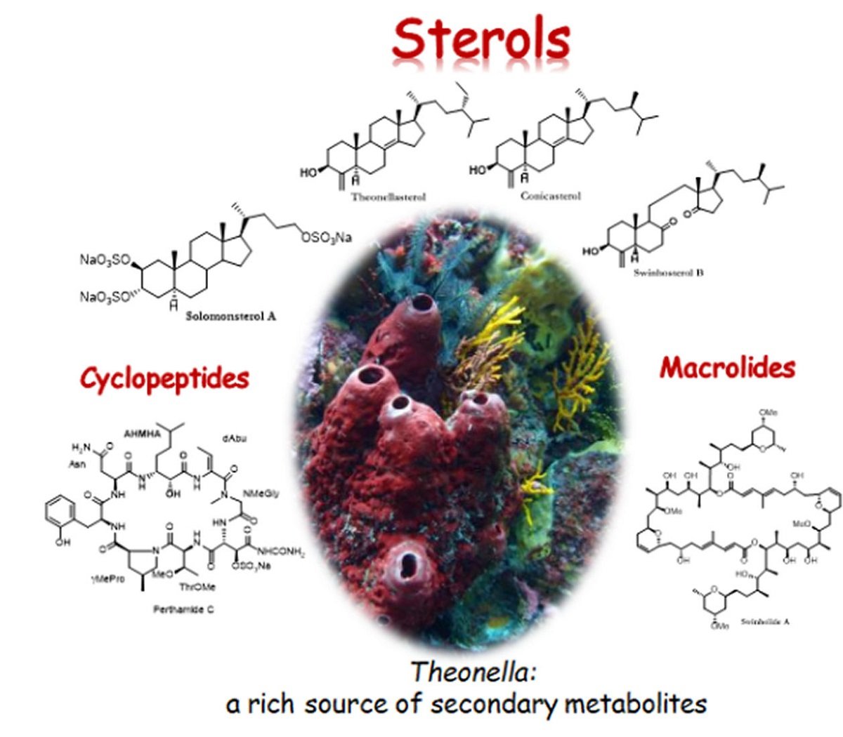 Marine_Drugs's tweet photo. Review: Theonella: A Treasure Trove of Structurally Unique and Biologically Active Sterols, by Carmen Festa et al.
https://t.co/rAri2J2vLl
#marinesponge #Theonella #marinenaturalproducts #marinesterols https://t.co/6wik3kYYn9